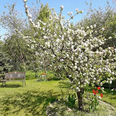 In Der Huebschen Inselstadt